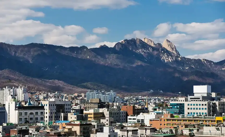 Wynagrodzenie projekt