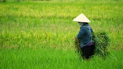 Jak zarobić w wieku 12 lat na wsi – praktyczne pomysły