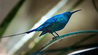 Faktura pro forma – kiedy i jak ją wystawić? Kompletny przew