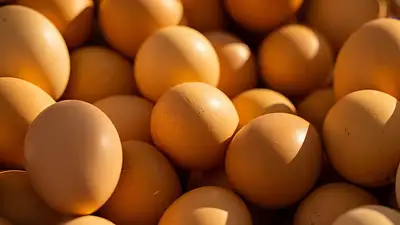 Chemia w drobiu – fakty, mity i jak wybrać bezpieczny drób