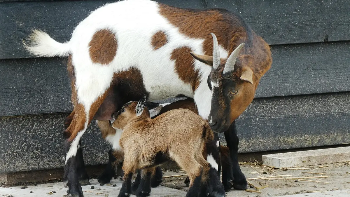 Ile zarabia nauczyciel w przedszkolu? Średnie zarobki 2025
