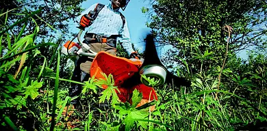 Ile zarabia ogrodnik? Średnie stawki w Polsce