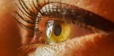 Studia i zawody po mat-fiz: opcje