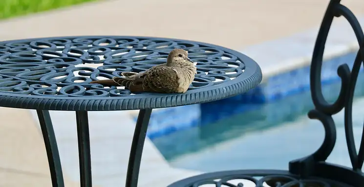 Praca odpisywanie na wiadomości: opinie z forum