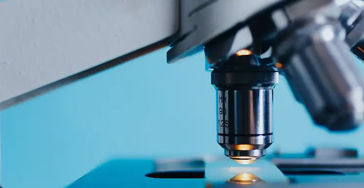 Biotechnologia w biznesie – inwestycja w przyszłość