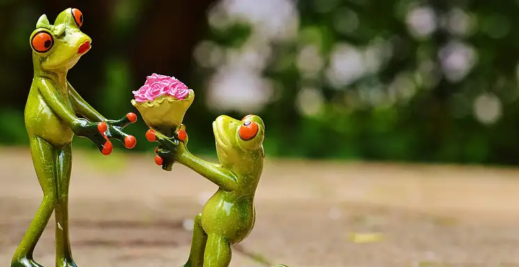 Ile dać do koperty na 10-lecie ślubu? Porady dla gości