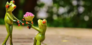 Ile dać do koperty na 10-lecie ślubu? Porady dla gości