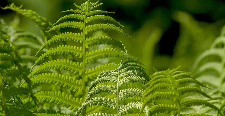 Jak odsłonić ukryte wiersze w Excelu szybko