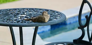 Ile zarabia ekonomista? Aktualne zarobki w Polsce