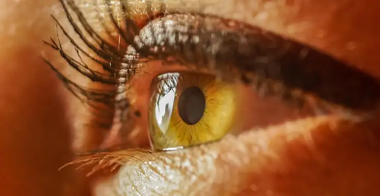 Staż pracy za 4-letnie technikum: Jak liczyć?