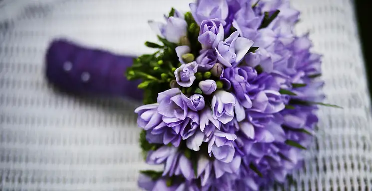 Ile zarabia florysta? Średnie zarobki na stanowisku