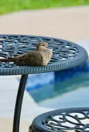 Ile zarabia spedytor międzynarodowy? Średnie zarobki