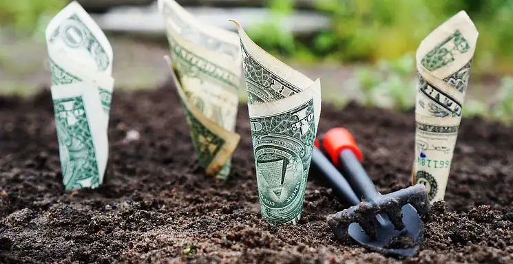 Konta oszczędnościowe: jak wybrać najlepszą ofertę?