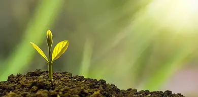 Stopy procentowe: co to jest i co na nie wpływa?