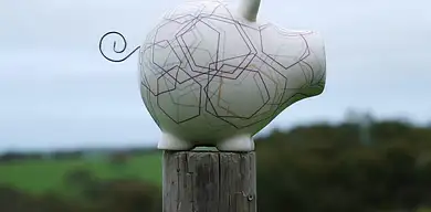 Fundusz awaryjny: Dlaczego warto i jak go zbudować?