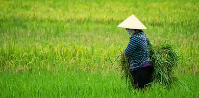 Jak zarobić w wieku 12 lat na wsi? Praktyczne pomysły