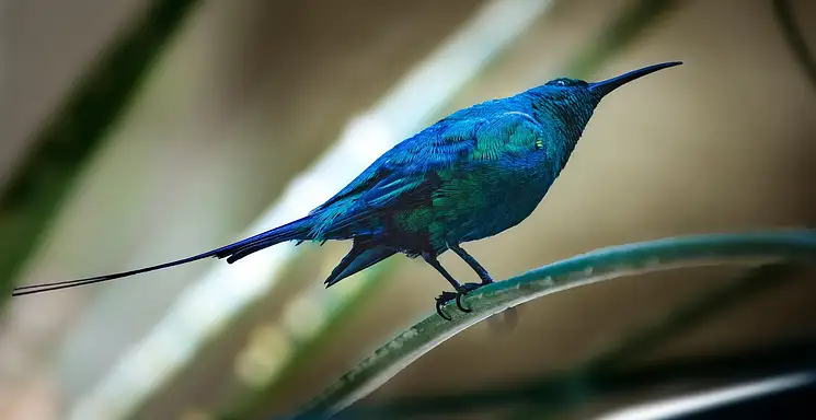 Faktura pro forma – kiedy wystawić i co zawiera?