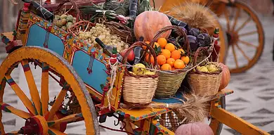 Oszczędzanie na zakupach spożywczych: triki