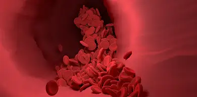 Ile zarabia grafik 3D? Średnie zarobki w Polsce