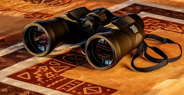 Ile zarabia optyk? Zarobki w Polsce