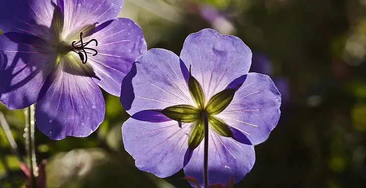 Tauron: rezygnacja z opłaty handlowej krok po kroku