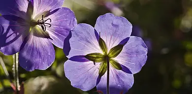 Tauron: rezygnacja z opłaty handlowej krok po kroku