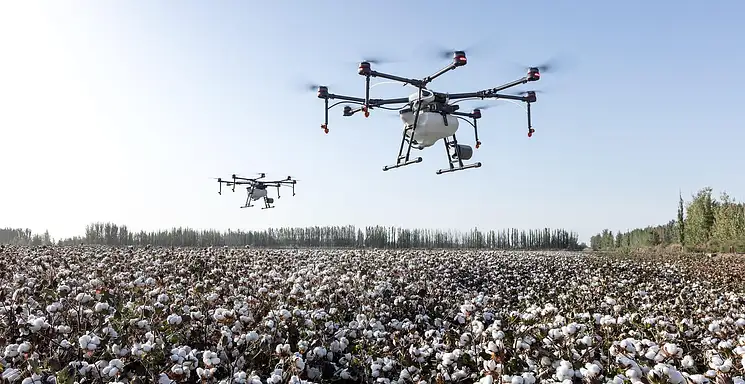 Środki ochrony roślin – korzyści dla plonów i środowiska