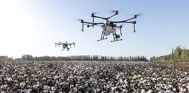 Środki ochrony roślin – korzyści dla plonów i środowiska